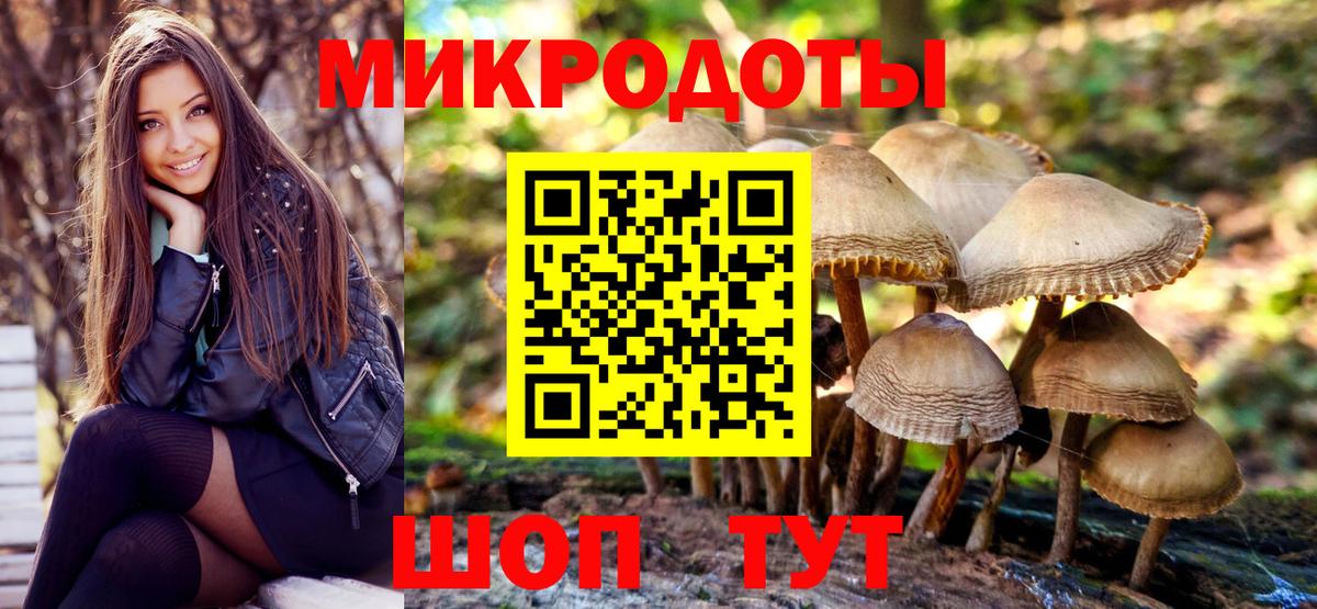 Псилоцибиновые грибы Psilocybe  Галлюциногенные грибы GOLDEN TEACHER  Лесной  Вход с VPN 