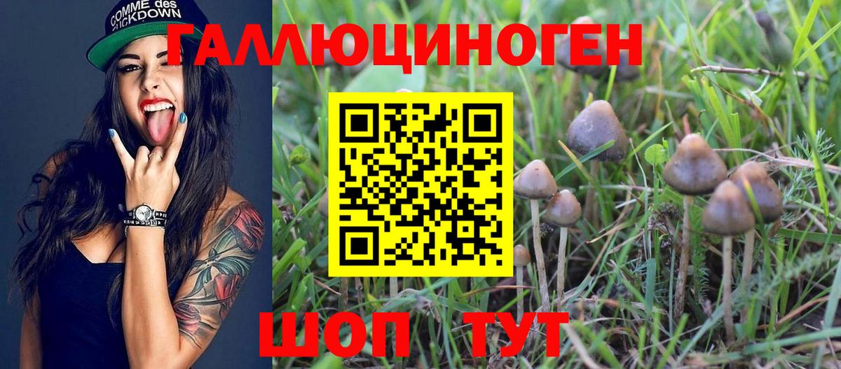 Галлюциногенные грибы Psilocybe Лесной