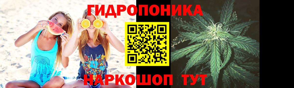 Каннабис Лесной